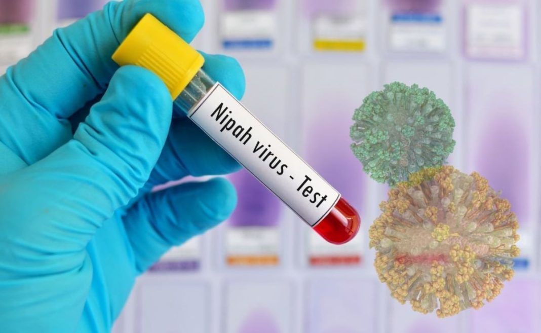 Nipah Virus Alert: Key Safety Tips for UAE Residents Traveling to India